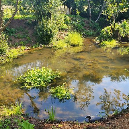Le Clos Des Sources Isigny-sur-Mer Eksteriør bilde