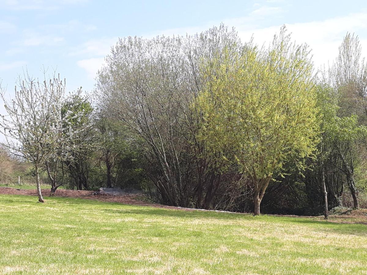 Le Clos Des Sources Isigny-sur-Mer Eksteriør bilde